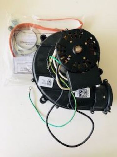 Picture of INDUCER MOTOR ASSY. W/GSKT