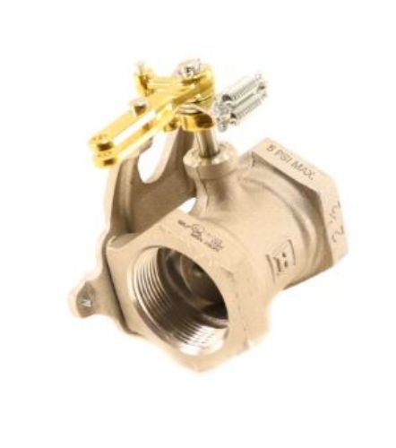 Picture of BTRFLY GAS VLV 21/2IN