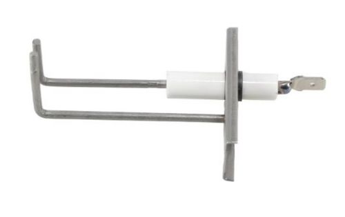 Picture of ELECTRODE ASSY