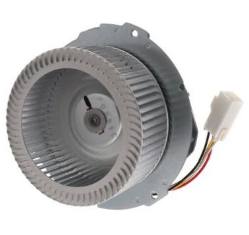 Picture of FAN MOTOR